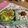 クック49L4Ho☆'s cooksnap of when they made 朝食に☆ソーセージとキャベツ卵マヨ炒め.