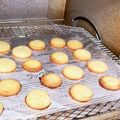 yun53's cooksnap of when they made たまごサブレ.