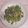 アクセル☆'s cooksnap of when they made しらすと青のりのパスタ.