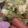 クックHB0OYQ☆'s cooksnap of when they made キャベツとウィンナーのマスタード炒め.