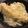 ベティ３'s cooksnap of when they made 卵とじ天ぷらうどん.