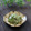 まろんかふぇ's cooksnap of when they made お弁当に♪しらすときゅうりのごま和え.