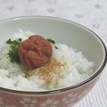 umemodoki's cooksnap of when they made －おおざっぱ☆お茶漬け風？－.