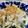 Faiza's cooksnap of when they made ＊大根と水菜のサラダ＊.