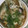 akobo's cooksnap of when they made 簡単！酢牡蠣.