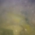 鈴木さんちの猫's cooksnap of when they made 簡単に作れて美肌で健康　山芋豆乳スープ.