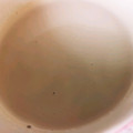 くむちん's cooksnap of when they made ☸ほっと♥黒蜜カフェオレ☸.