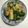 sakutakuhitoshu's cooksnap of when they made 晩生菜(しろ菜)の炊いたん♡.