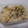きらり流れ星's cooksnap of when they made 新生姜とアサリの白だし炊き込みご飯.