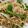 なつきよう's cooksnap of when they made 絶品！チンジャオロース焼きそば*.