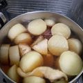 らん蘭's cooksnap of when they made 鶏胸肉と大根の煮物.