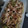 もりのりころ's cooksnap of when they made もやしとささみの白ごま中華和え.