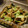 ガメコ's cooksnap of when they made ✿豚肉と小松菜の生姜炒め✿.