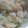 あゆたっくん's cooksnap of when they made 梅と大葉のまぜご飯.