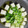 アココ☆'s cooksnap of when they made お餅の消費に！お餅と卵でお好み焼き風.