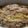 こたもこママ's cooksnap of when they made ポテト＆ベーコンのマヨネーズ焼き焼き◎.