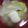 AiYuKE's cooksnap of when they made 里芋と白菜味噌汁.
