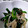 なっちゃん３１１'s cooksnap of when they made 簡単に♪ほうれん草とえのきの海苔あえ.
