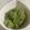 ｄｏｒａ☆ｎｕｔｓ's cooksnap of when they made 山菜ミズのたたき.