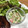 chi−ちゃん's cooksnap of when they made サッと【カニカマときゅうりのマヨサラダ】.