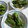 しぃ～ちゃん's cooksnap of when they made ししとうだけ。.