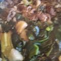 かたのさくら's cooksnap of when they made 葉玉ねぎ・牛肉の辛味噌炒め.