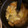 ちづミニー's cooksnap of when they made 長ネギとうすあげのみそ汁.
