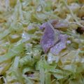 TaniYuri's cooksnap of when they made 簡単！マカロニサラダ☆.