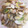 ドレッド69s's cooksnap of when they made プロ直伝！柳原さん家のあさりの酒蒸し☆.