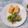 yesmama's cooksnap of when they made 簡単♫ブロッコリーじゃこのおかか粉チ和え.