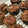 クックJNHAK0☆'s cooksnap of when they made しっとり★おからのココアマフィン★.