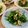 リリリエンタール's cooksnap of when they made ごま香る！若芽ひじきのツナ和え＊.