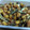 くにーくに's cooksnap of when they made 給食の定番、大豆といりこのごまからめ.