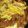 ブランシュkuu's cooksnap of when they made 簡単♪︎美味しい！！✱肉豆腐✱.