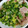 サクラ❁❀✿✾'s cooksnap of when they made 簡単★大根と豚肉のさっぱりねぎまみれ.