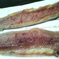 xeno（ぜの）'s cooksnap of when they made 簡単！あじのおろし方<゜)))彡.