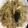 クック2H9MD0☆'s cooksnap of when they made きのこと長ねぎの和風パスタ.