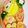 ひょちゃんママ's cooksnap of when they made 鬼滅の刃　善逸キャラ弁　ぜんいつ.