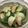 クック5NOFPV☆'s cooksnap of when they made 時短☆かぶとベーコンとほうれん草のソテー.