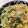 しげその's cooksnap of when they made お手軽！鮭とほうれん草のクリームパスタ.