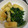 mamaru430's cooksnap of when they made お揚げがサク♪ほうれん草とえのきのお浸し.