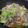 ★☆あっこ★☆'s cooksnap of when they made 豚バラ白菜の和中華丼.