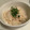 chou*'s cooksnap of when they made 油揚げと生姜の炊き込みご飯.