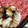 ☆lino☆lino's cooksnap of when they made 今半風すき焼きの割下.