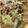 splendeur's cooksnap of when they made 豚肉・白菜・長ねぎレンジ蒸し♪梅風味.