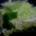 MULA's cooksnap of when they made 小松菜とシラス干しの鶏スープびたし.