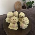 彩葵ちゃんK's cooksnap of when they made 簡単かわいい雪だるまクッキー.