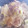 クックQD81I1☆'s cooksnap of when they made 簡単。白菜と春雨の中華旨煮.