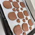 ネーヴェ's cooksnap of when they made 子供のおやつに型抜きココアクッキー.