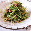 ♡こもれび♡'s cooksnap of when they made 豆苗とさば缶のマヨネーズ和え.